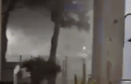 Thumbnail for 6826561