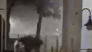 Thumbnail for 6826561