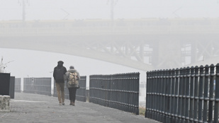 Thumbnail for 6826713