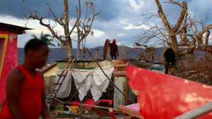 Thumbnail for 6826785