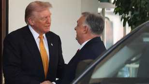 Thumbnail for 6826787