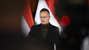 Thumbnail for 6826913