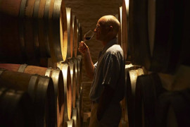 Thumbnail for 6826937