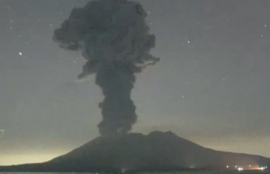 Thumbnail for 6826991