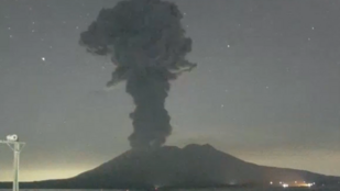 Thumbnail for 6826991