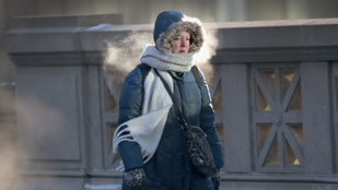 Thumbnail for 6827011