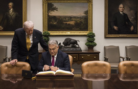 Thumbnail for 6827157