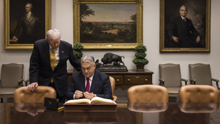 Thumbnail for 6827157