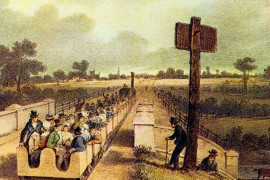 Thumbnail for 6827198