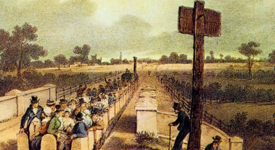 Thumbnail for 6827198