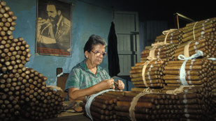 Thumbnail for 6827218