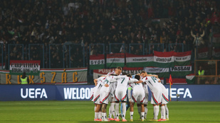 Thumbnail for 6827279