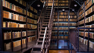 Thumbnail for 6827398