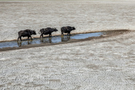 Thumbnail for 6827462