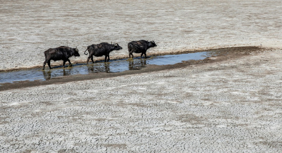 Thumbnail for 6827462