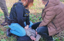 Thumbnail for 6827481