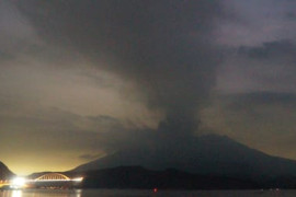 Thumbnail for 6827484