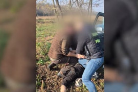 Thumbnail for 6827486