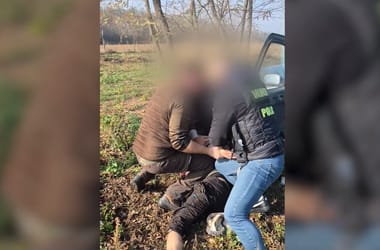 Thumbnail for 6827486