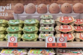 Thumbnail for 6827713