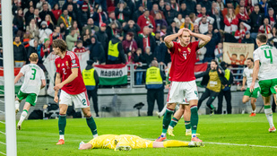 Thumbnail for 6827738