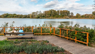 Thumbnail for 6827759