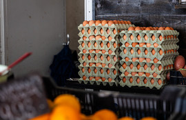 Thumbnail for 6827925