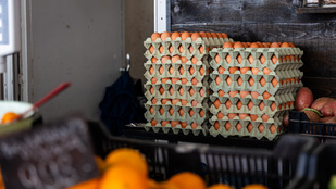 Thumbnail for 6827925