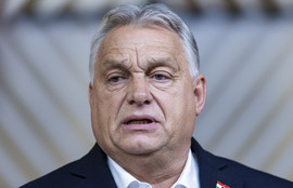 Thumbnail for 6828049