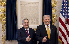 Thumbnail for 6828055