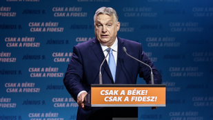 Thumbnail for 6828122