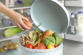 Thumbnail for 6828133