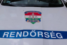 Thumbnail for 6828157