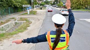 Thumbnail for 6828164