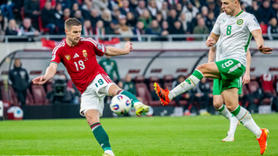 Thumbnail for 6828254