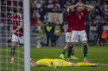 Thumbnail for 6828265