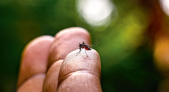 Thumbnail for 6828401