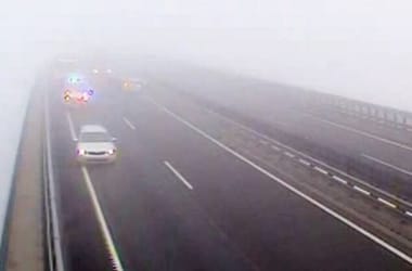 Thumbnail for 6828531