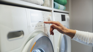 Thumbnail for 6828779