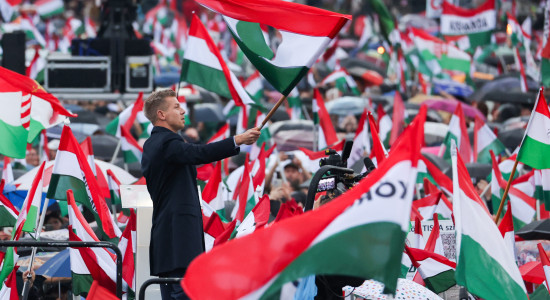 Thumbnail for 6828794