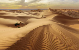 Thumbnail for 6828815