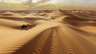 Thumbnail for 6828815