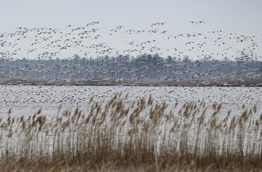 Thumbnail for 6828950