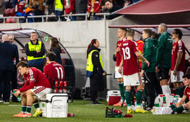 Thumbnail for 6828996