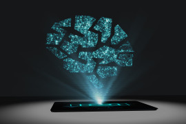 Thumbnail for 6829048