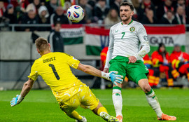 Thumbnail for 6829146