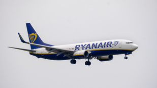 Thumbnail for 6829171