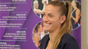 Thumbnail for 6829179