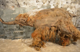 Thumbnail for 6829254