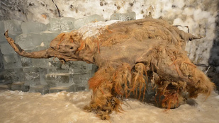 Thumbnail for 6829254